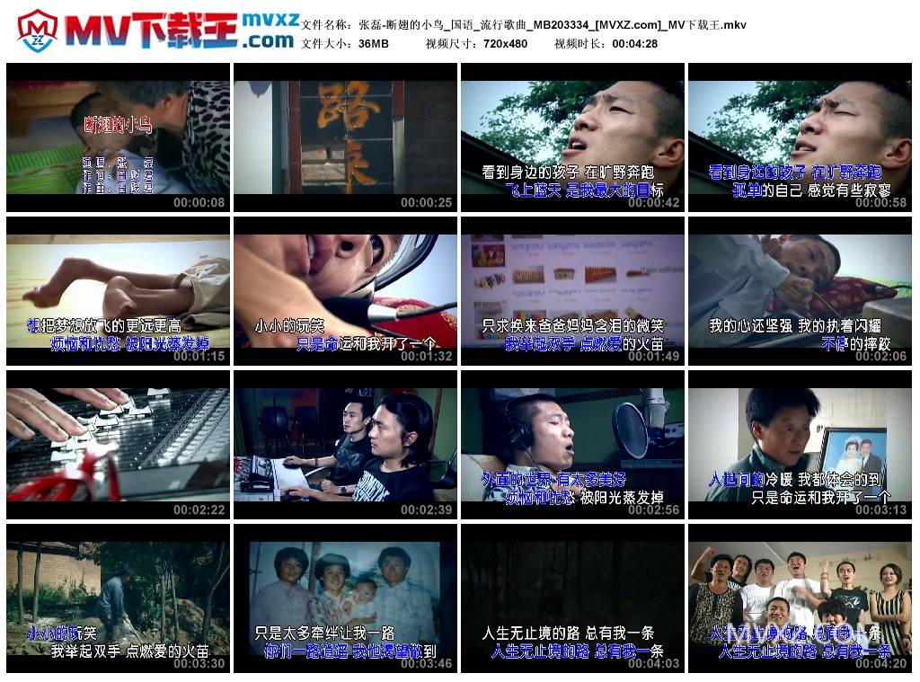 张磊-断翅的小鸟_国语_流行歌曲_MB203334